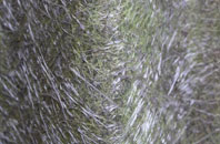 Dennington fibreglass roof work